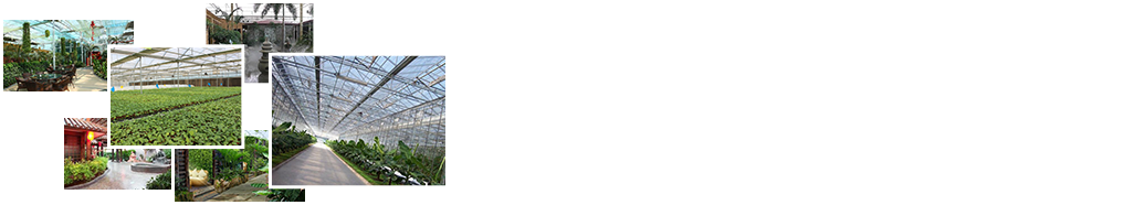 24小時(shí)免費咨詢(xún)、免費技術(shù)指導