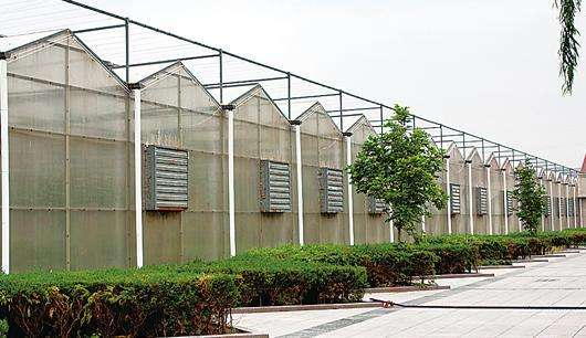 規模大，質(zhì)量好