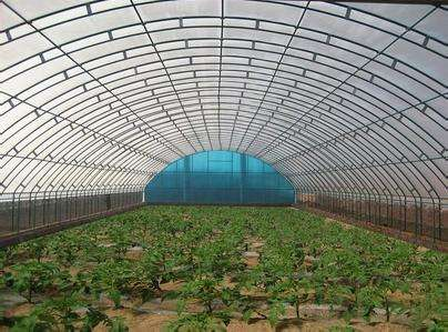 技術(shù)專(zhuān)業(yè)，服務(wù)到位