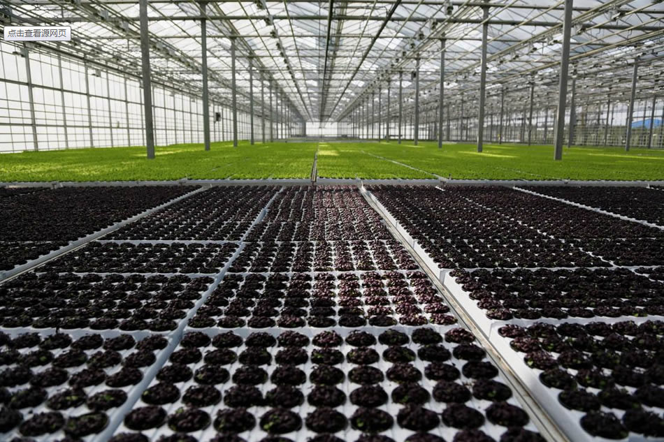 實(shí)力雄厚，品質(zhì)保證！