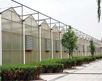 規模大，質(zhì)量好