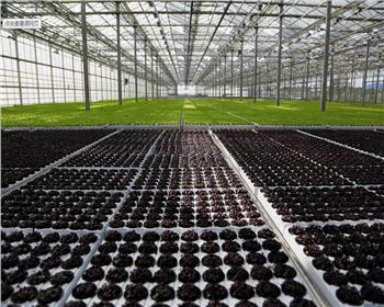 實(shí)力雄厚，品質(zhì)保證！