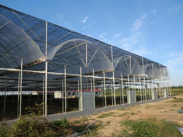 陜西溫室大棚突然遇到冰雹天氣該如何避免？